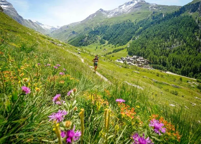 Jonquille 2c - Peaks Getaway Appartamento *